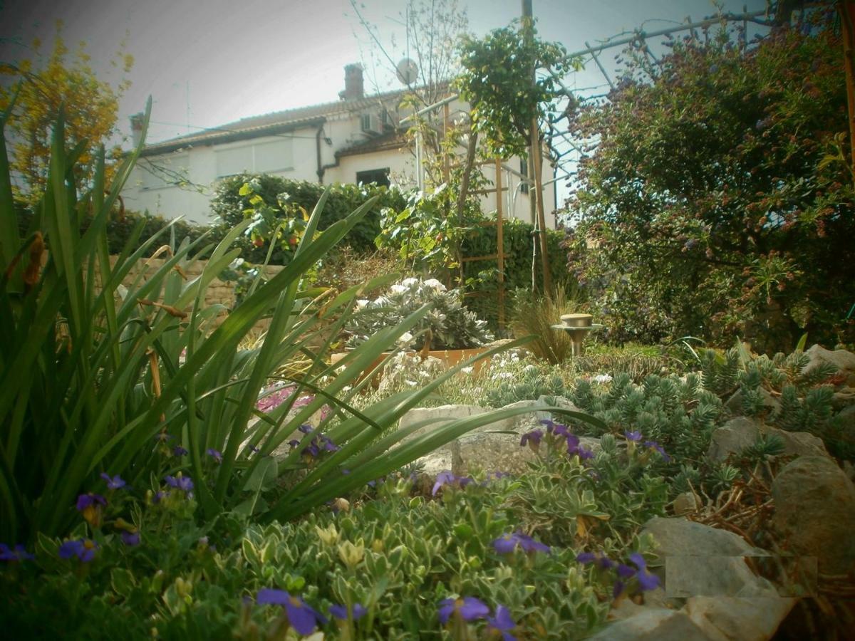 Vrancic Guest house 3*
