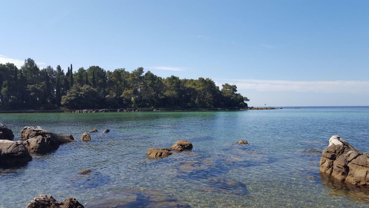 Vrancic