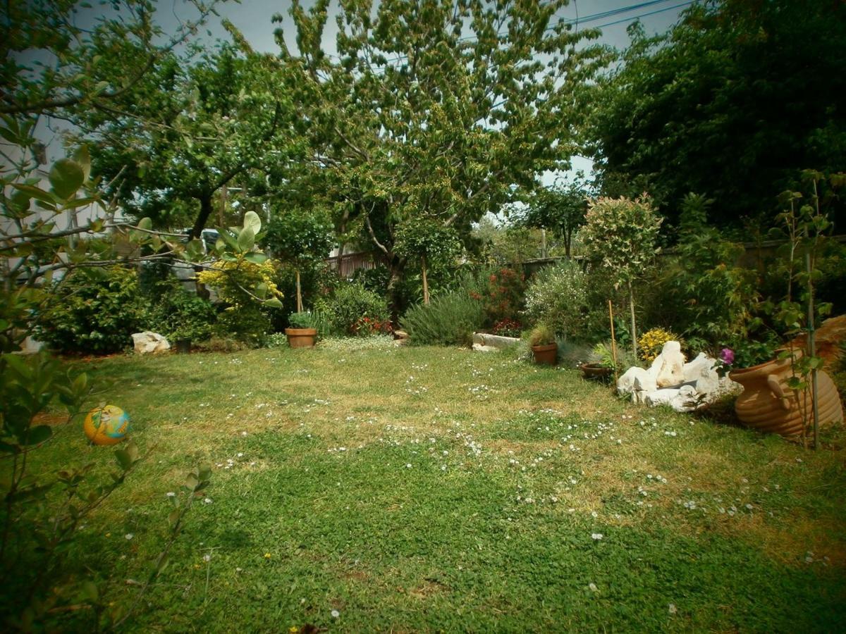 Vrancic 3*