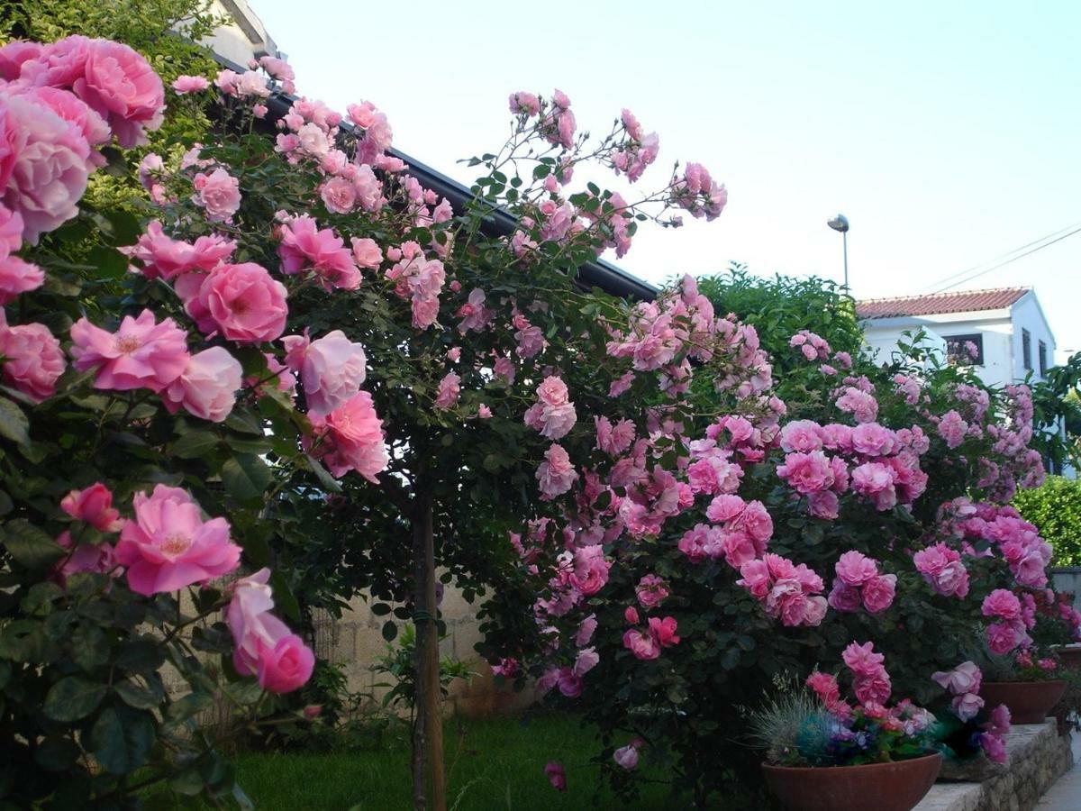Vrancic